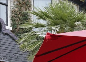4417 Swiss - LANDMARK courtyard 5